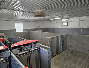 Rekonstrukce haly chovu prasat